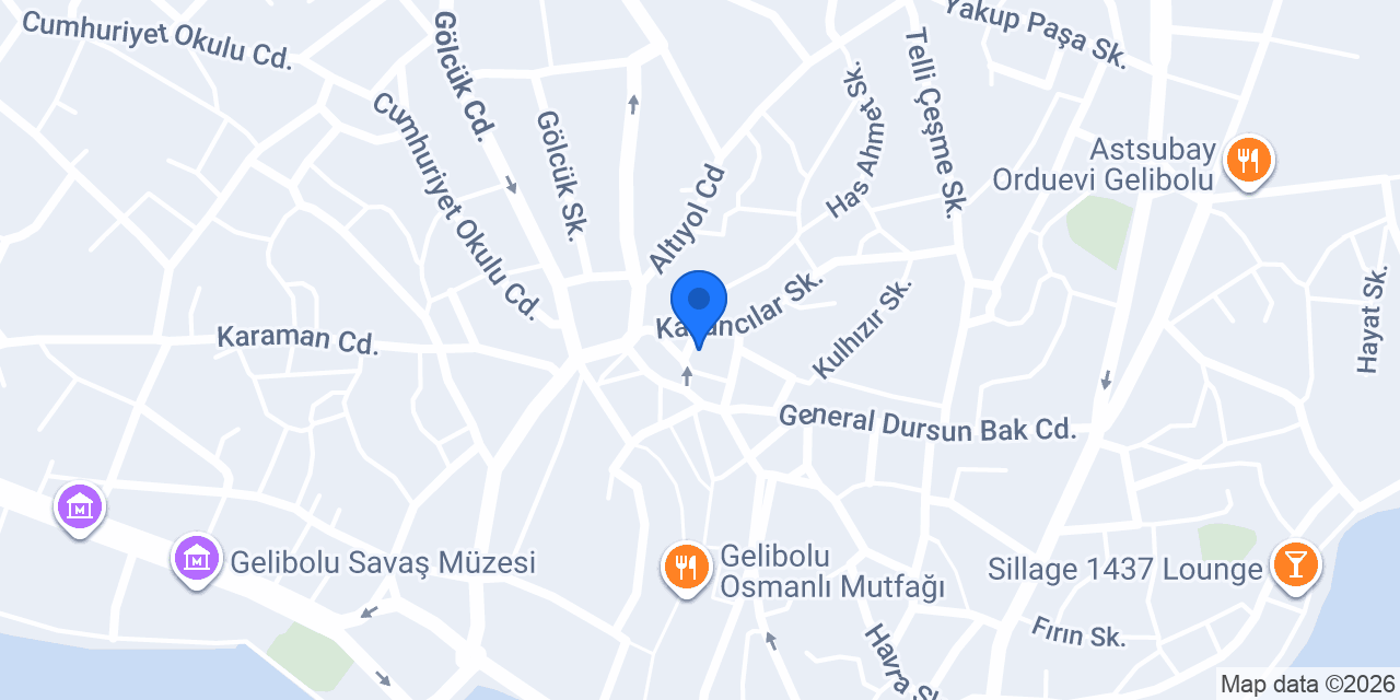 Doğan Elektronik konumu