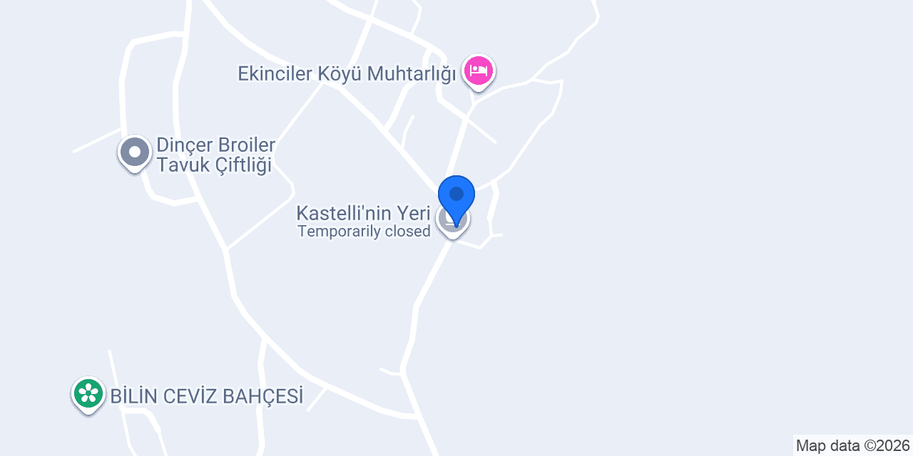 Zekinin yeri konumu