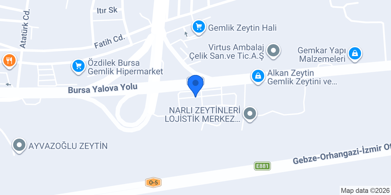 Bursa Kalıp Buz Hasel Su Ürünleri konumu
