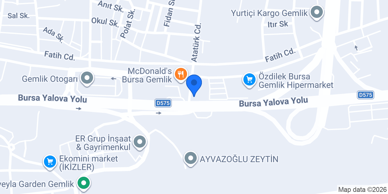 Elit Mola konumu