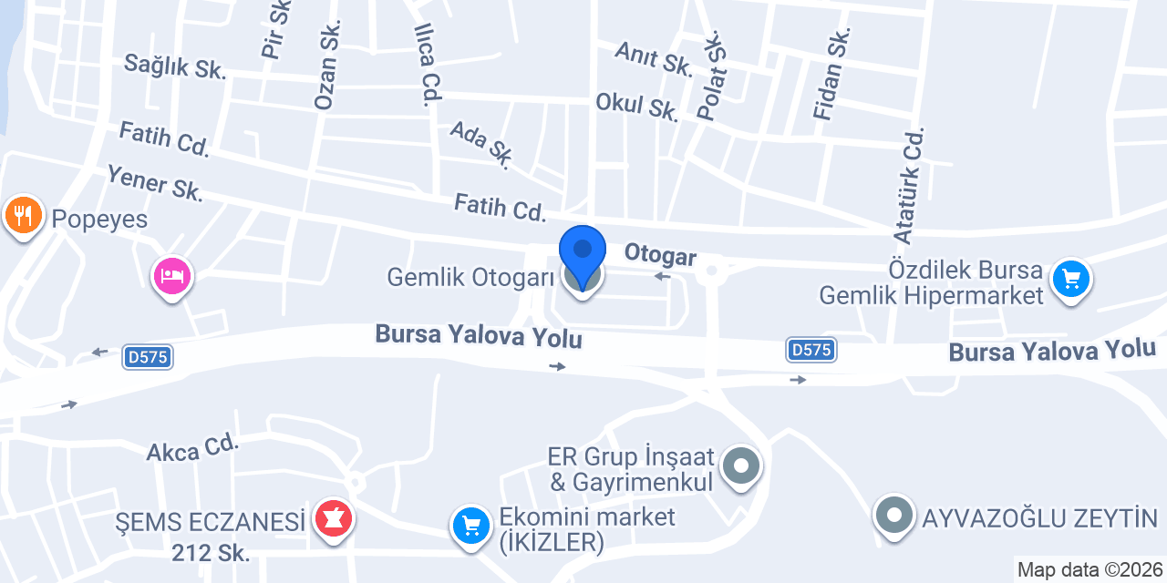özlem seyahat gemlik konumu