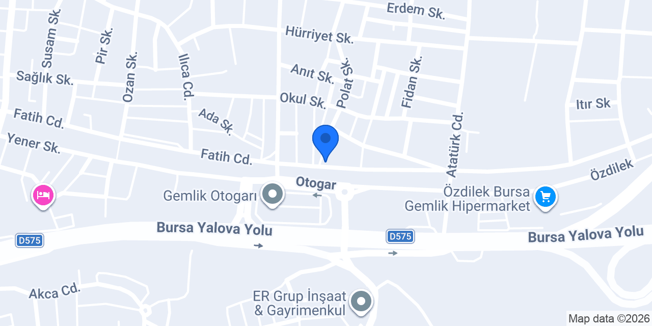 Aras Kargo Gemlik Şubesi konumu