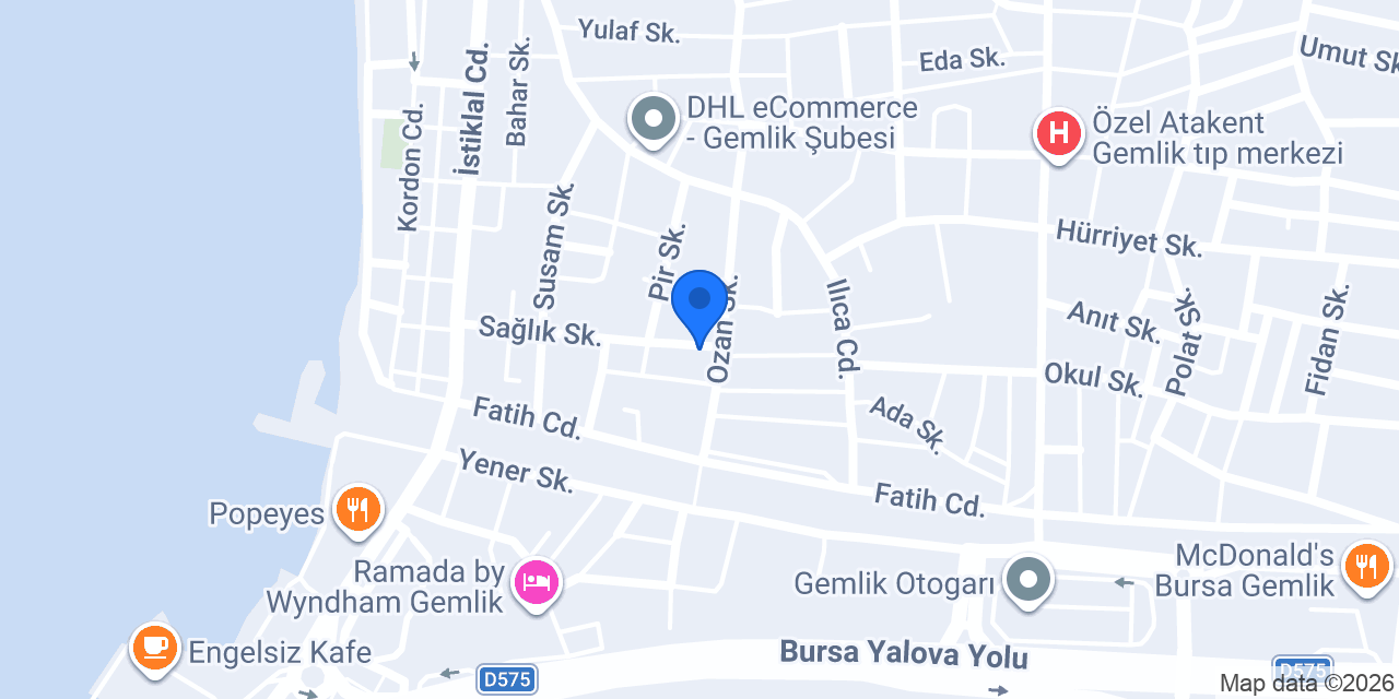 teknogemlik konumu