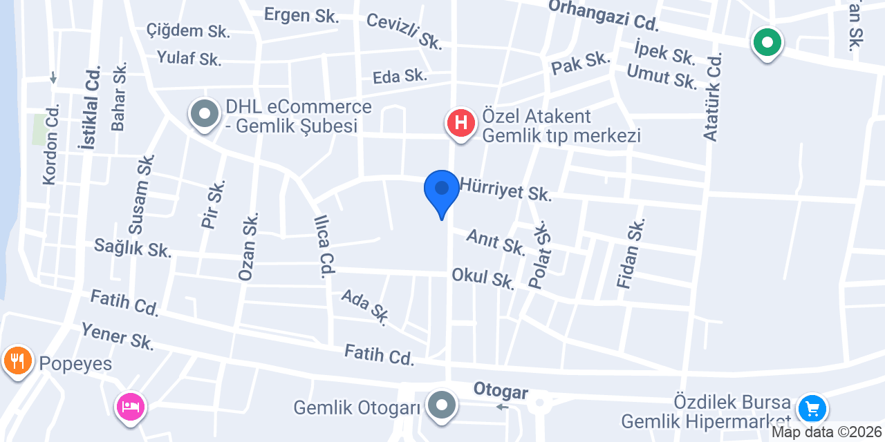 CTR Chicken Gemlik konumu
