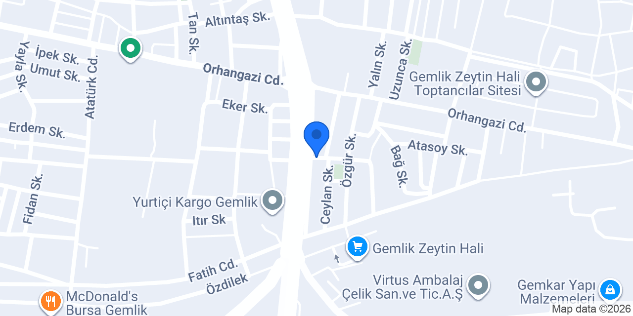 Arı Oto Kuaför konumu