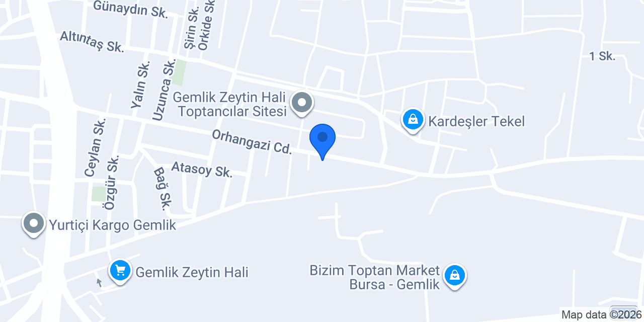 GEMSA ZEYTİN konumu