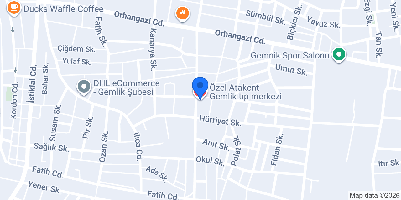 Op. Dr. Gülfer Ergün Klinik konumu