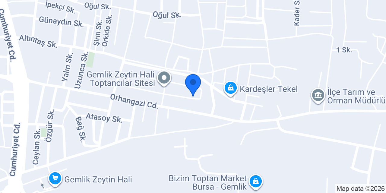 Efe Marmara Zeytin konumu