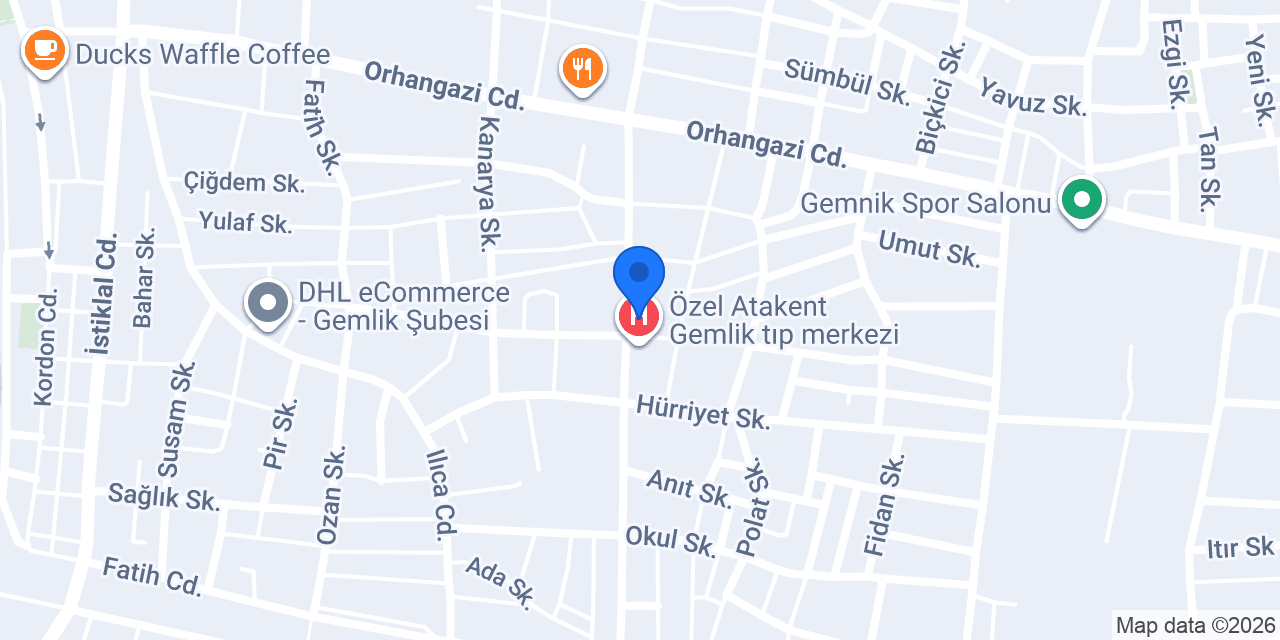 Gemlik Sağlık Eczanesi konumu