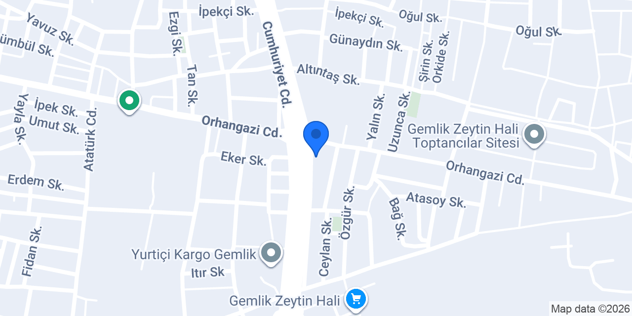 Pilot Garage Gemlik Oto Ekspertiz konumu