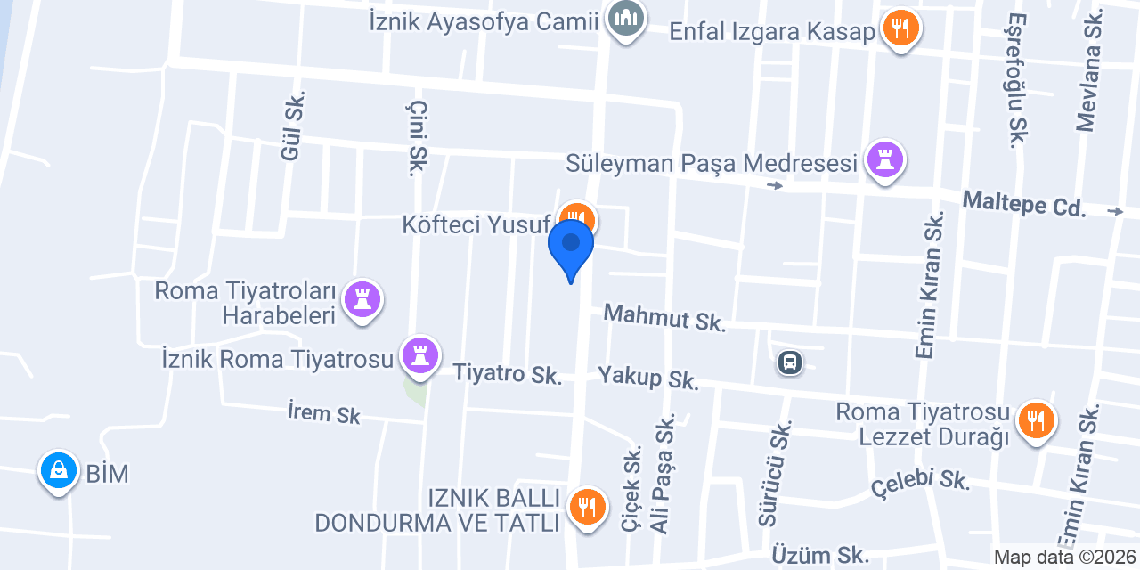ARAS ELEKTRONİK konumu