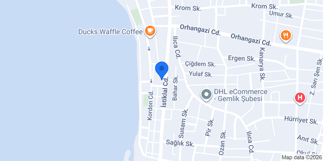 Domino's Pizza Gemlik konumu