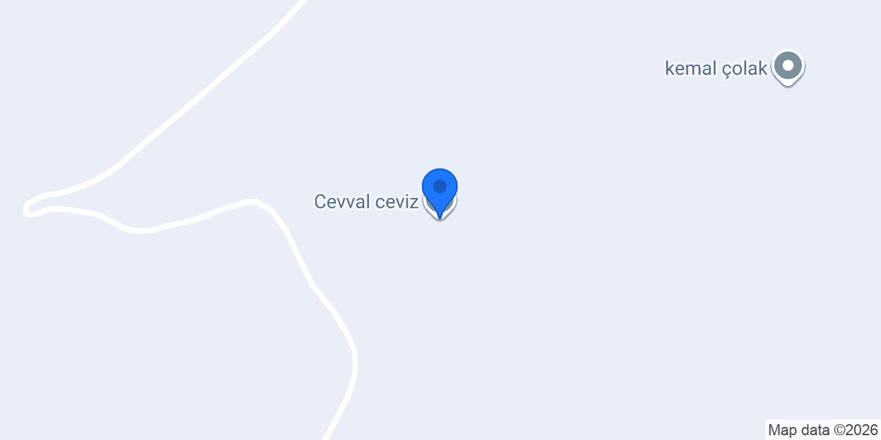 Cevval ceviz konumu