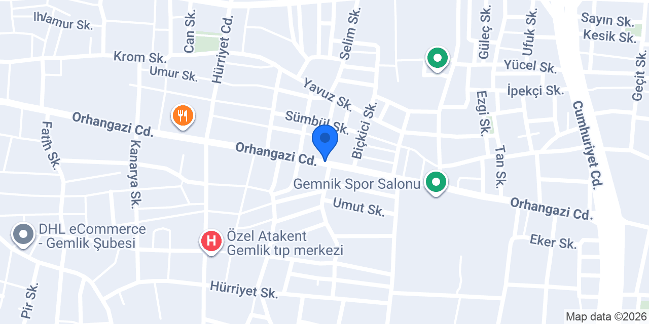 Pasaport Pizza Gemlik konumu