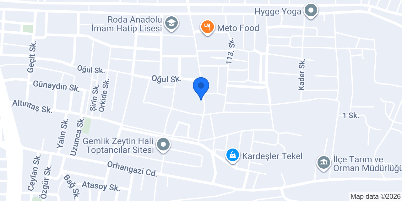 Güvercin zeytin konumu