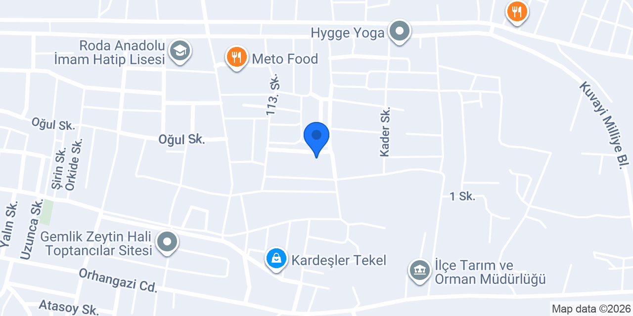 Direksiyon Eğitmeni Nesrin Yıldız konumu