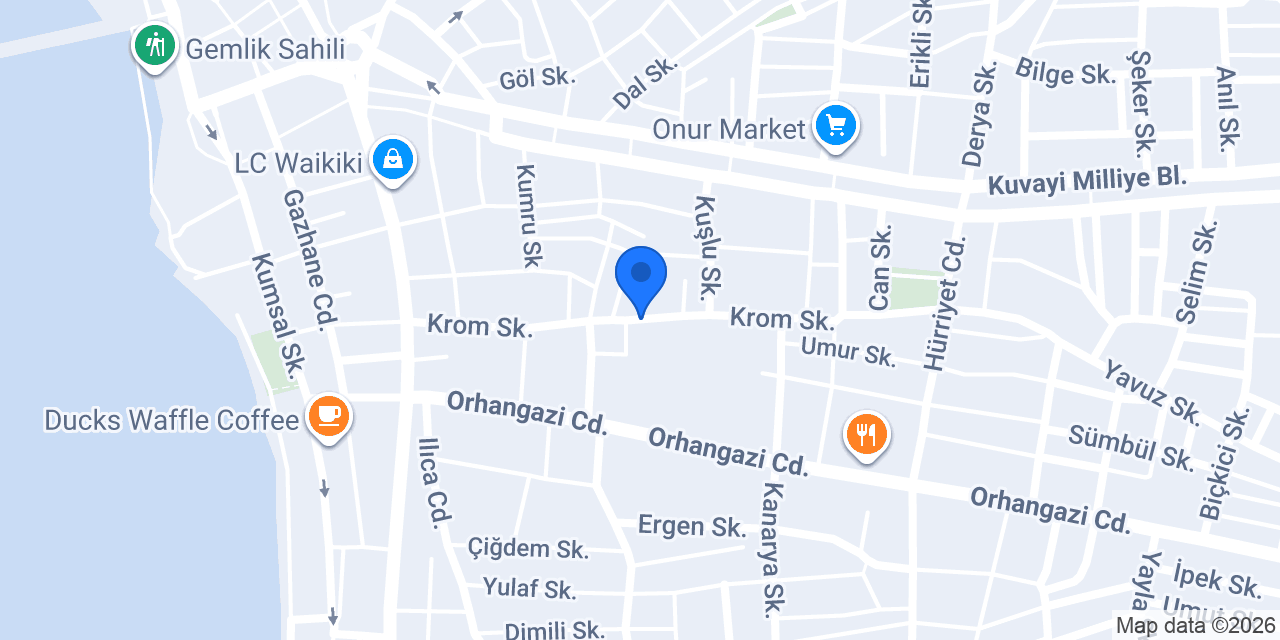 Çılgın Organizasyon konumu