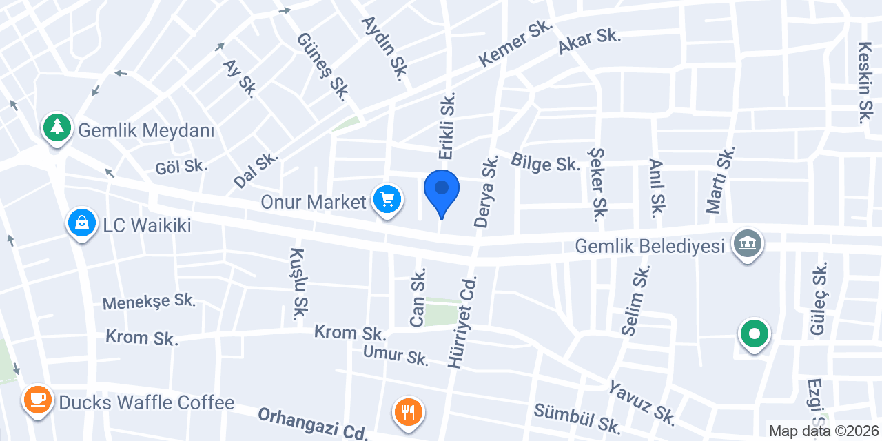 Radikal Kurs Gemlik VIP+ Şube konumu