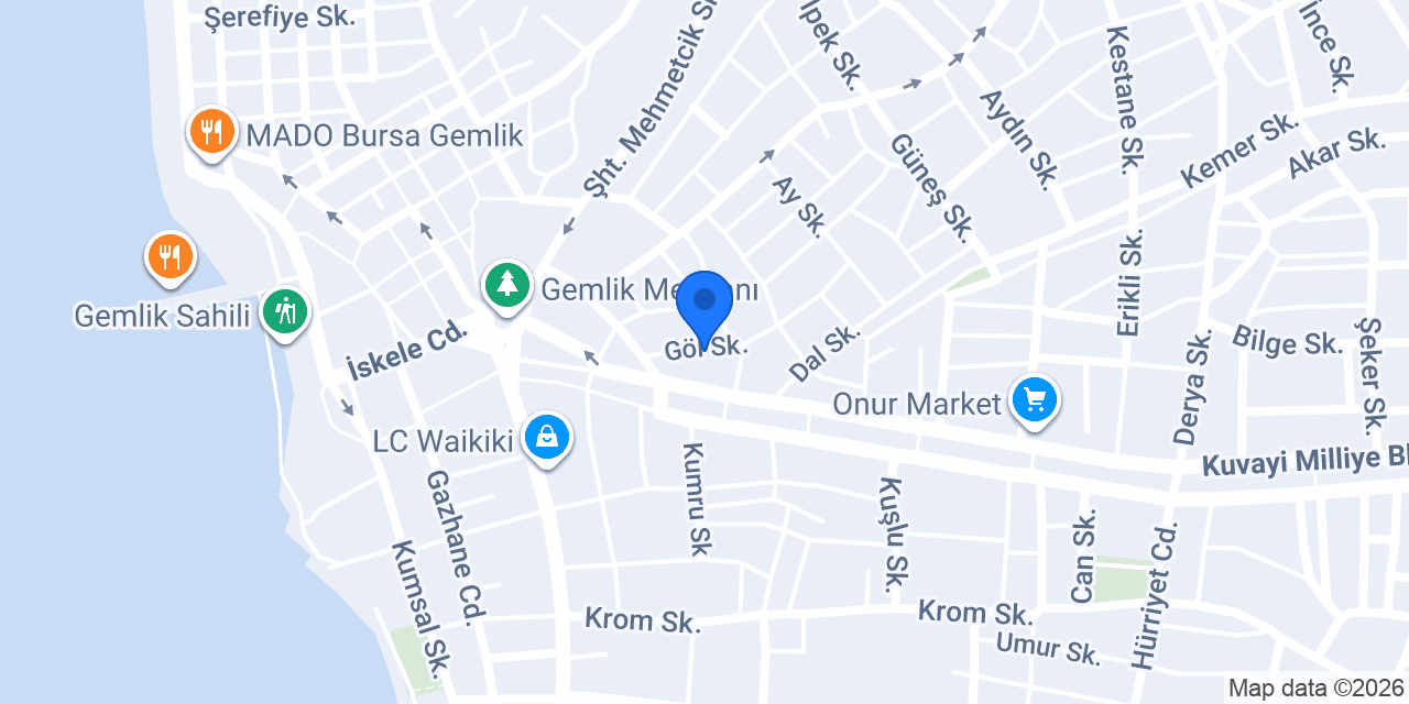 Gemlik Vip Taşımacılık konumu
