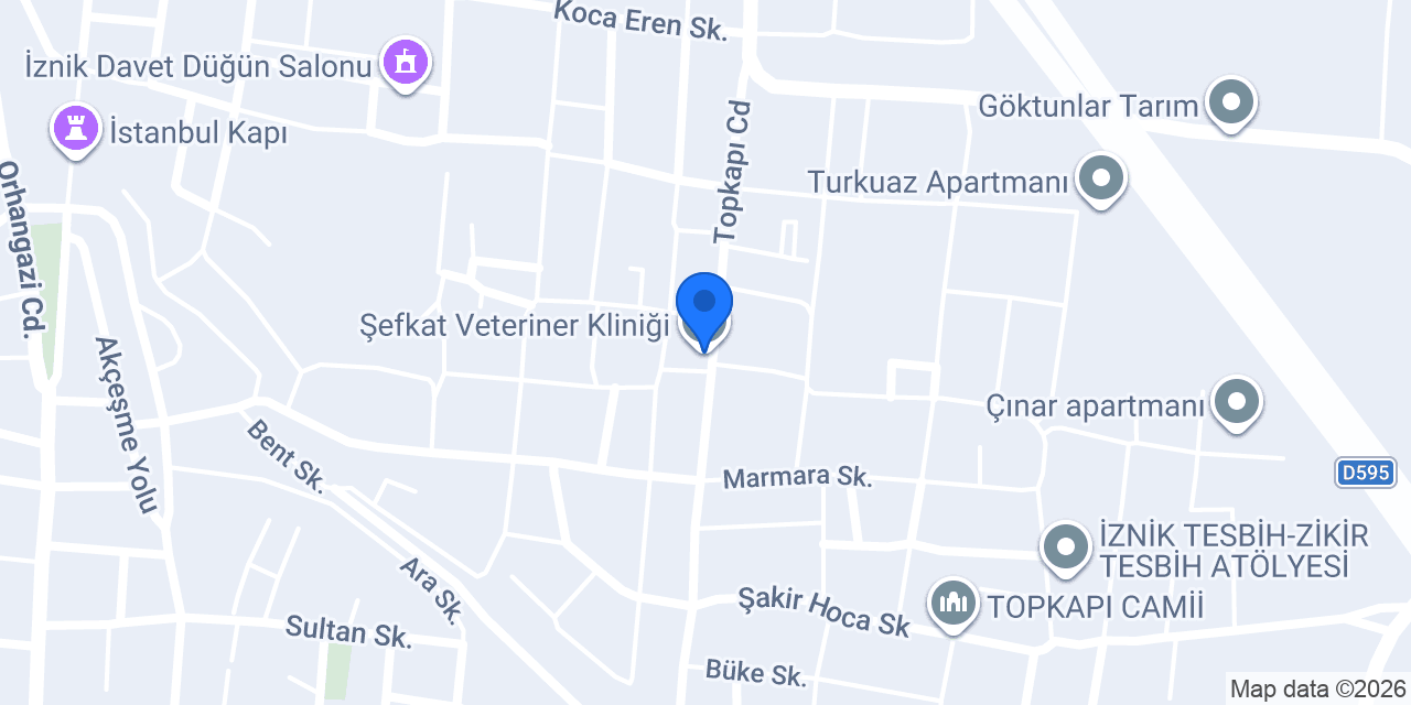 Şefkat Veteriner Kliniği konumu