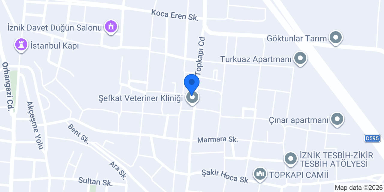 İki Tat Zurna Dürüm konumu