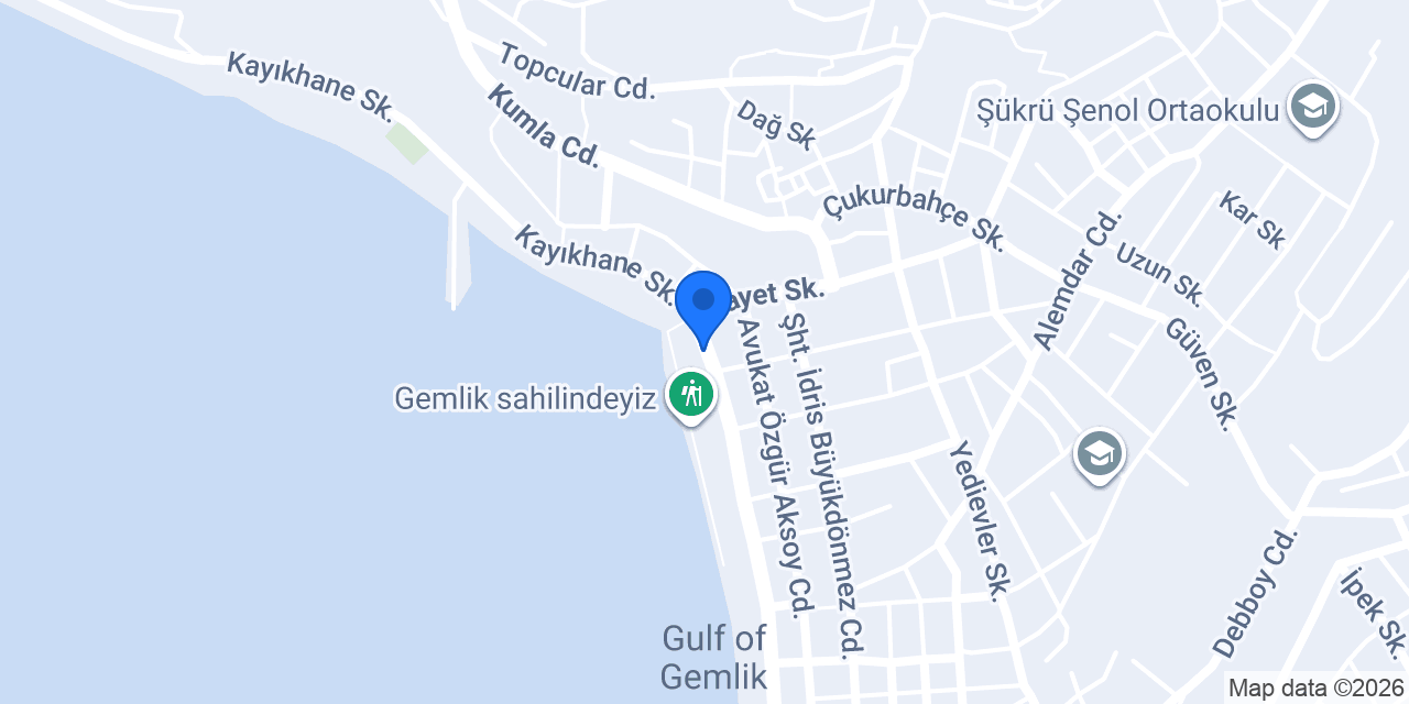 Floweroloji | Gemlik Çiçek Tasarım konumu