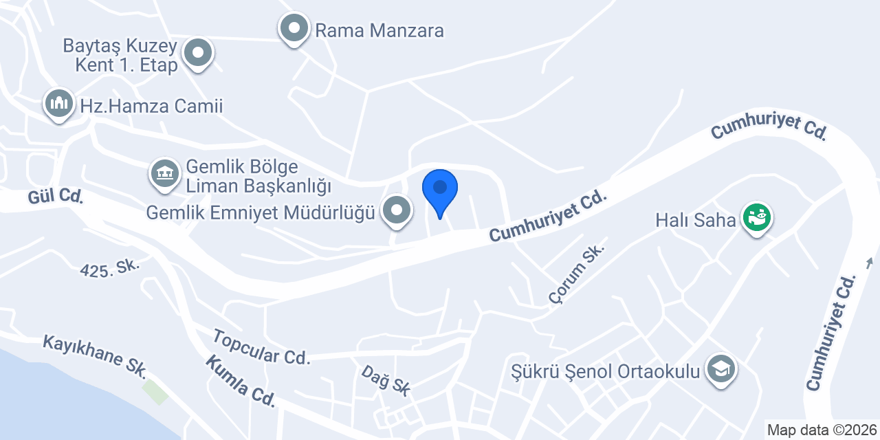 ÇAMLIK MARKET GEMLİK konumu