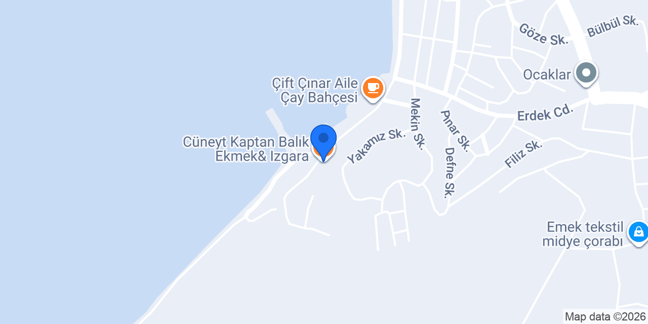 Cüneyt Kaptan Balık Ekmek& Izgara konumu
