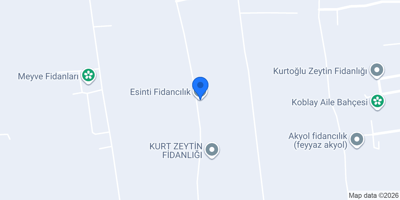 Esinti Fidancılık konumu