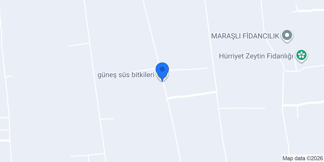 güneş süs bitkileri konumu