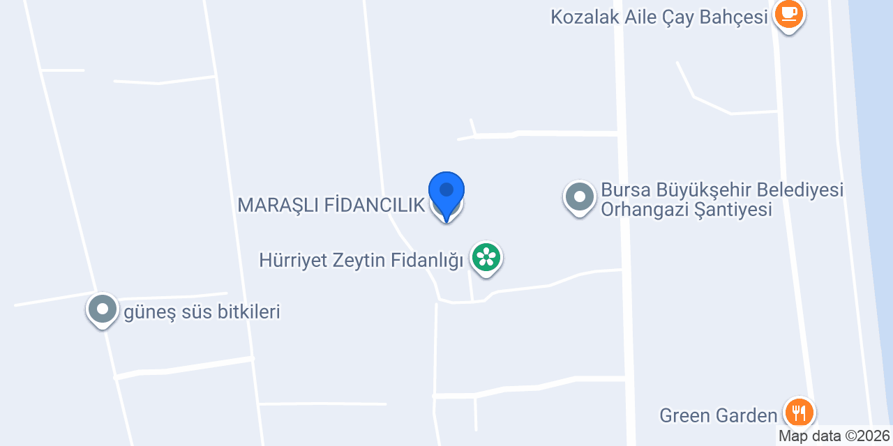 MARAŞLI FİDANCILIK konumu