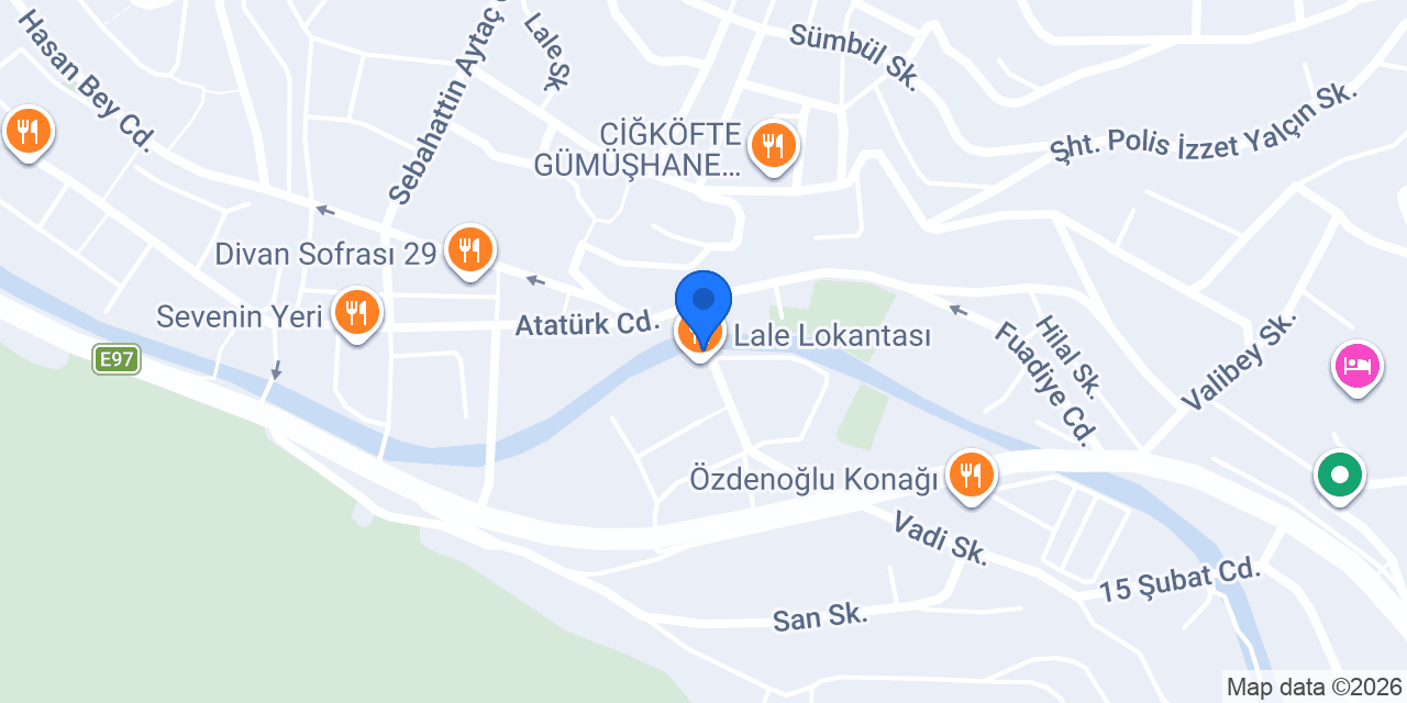 ELİF ÇİÇEKÇİLİK/gumushanecicekcisi.com konumu