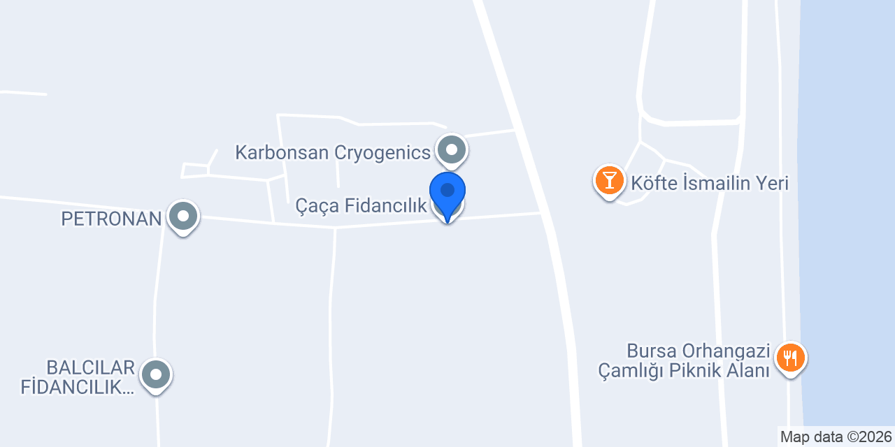Çaça Fidancılık konumu