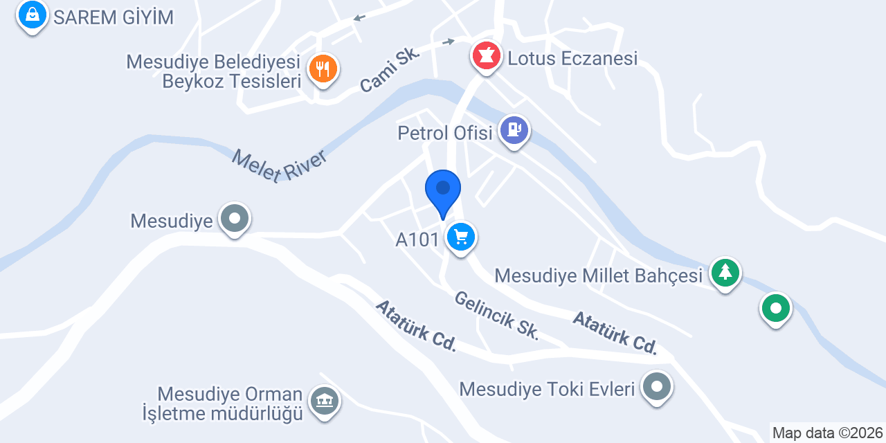 Mestem konumu