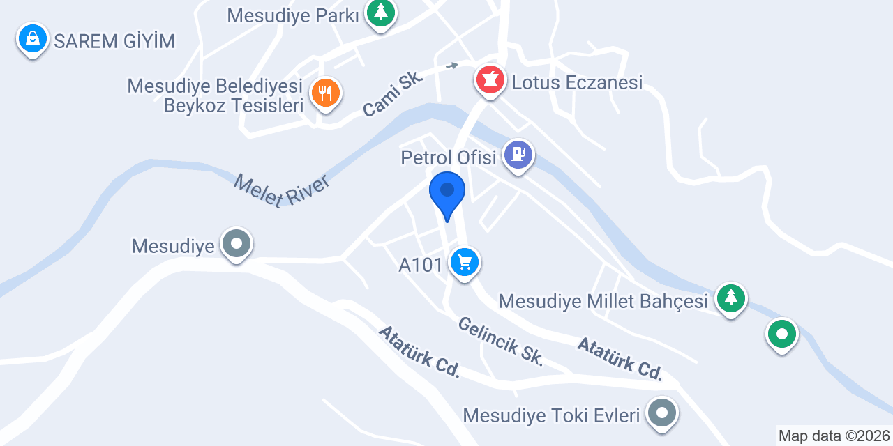TEMİZ İŞ-MESUDİYE konumu
