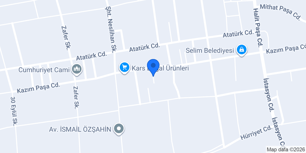 Aytemiz Petrol konumu