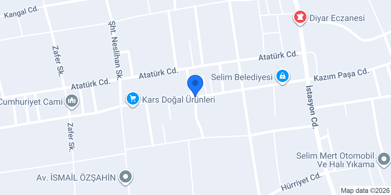 Western Union konumu