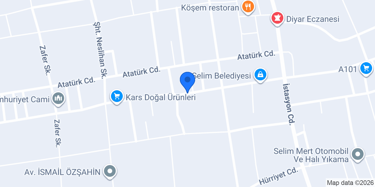 Kars Eczanesi konumu