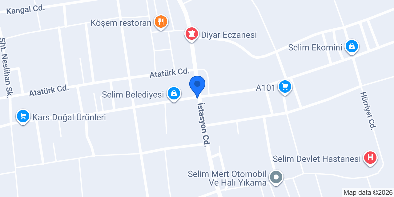 Kars Buharlı Koltuk Yıkama /Merkez ve İlçeler konumu