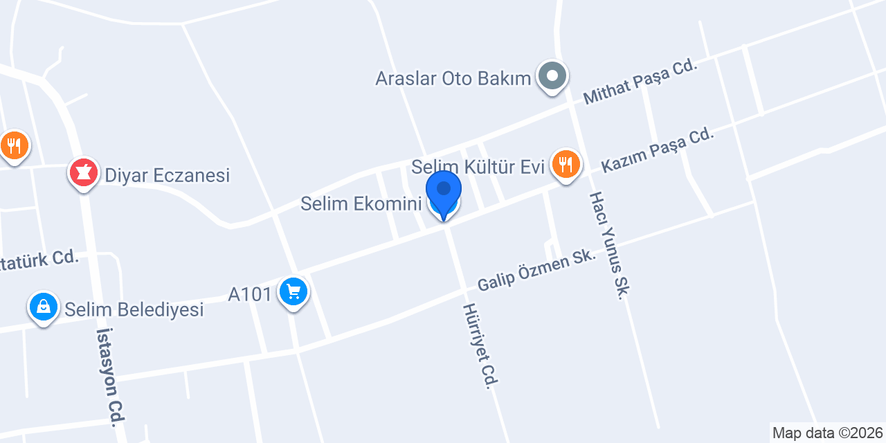 Selim Ekomini konumu