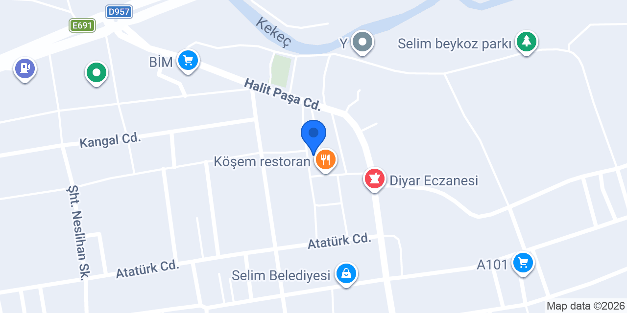Aras Kargo Selim Şubesi konumu
