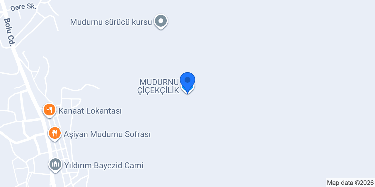 MUDURNU ÇİÇEKÇİLİK konumu