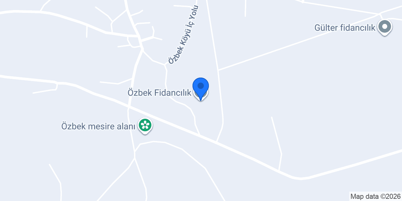 Özbek Fidancılık konumu