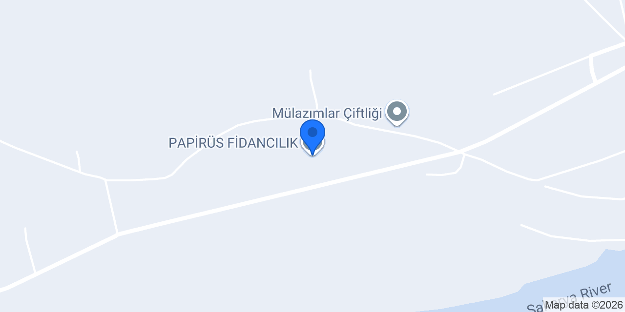 PAPİRÜS FİDANCILIK konumu