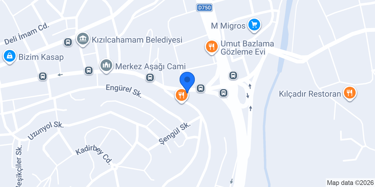 Tamer Ticaret konumu