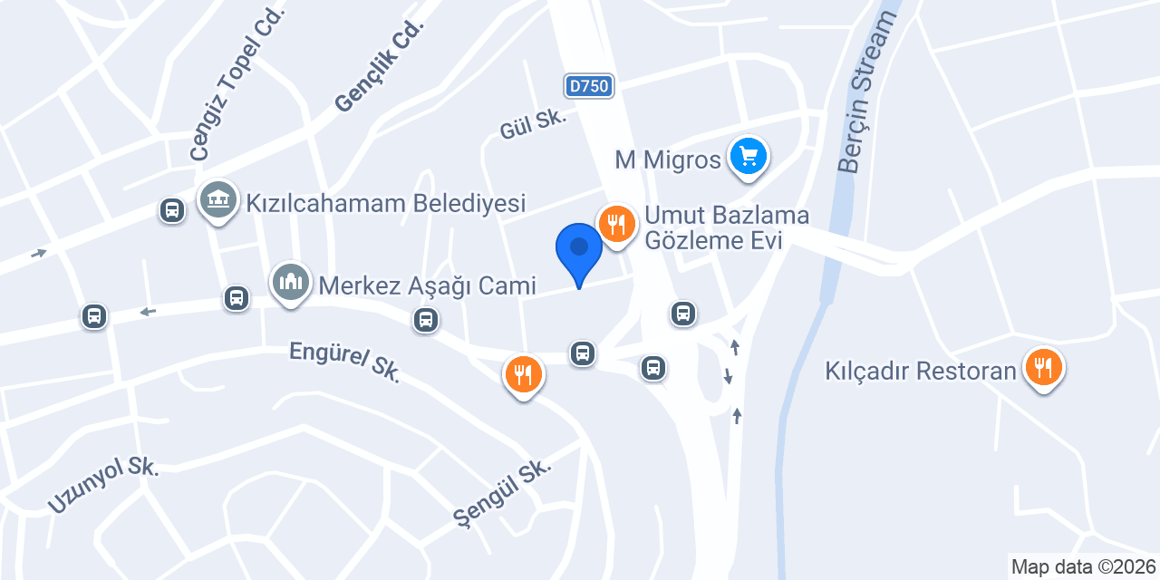 Sistematik Kursları konumu