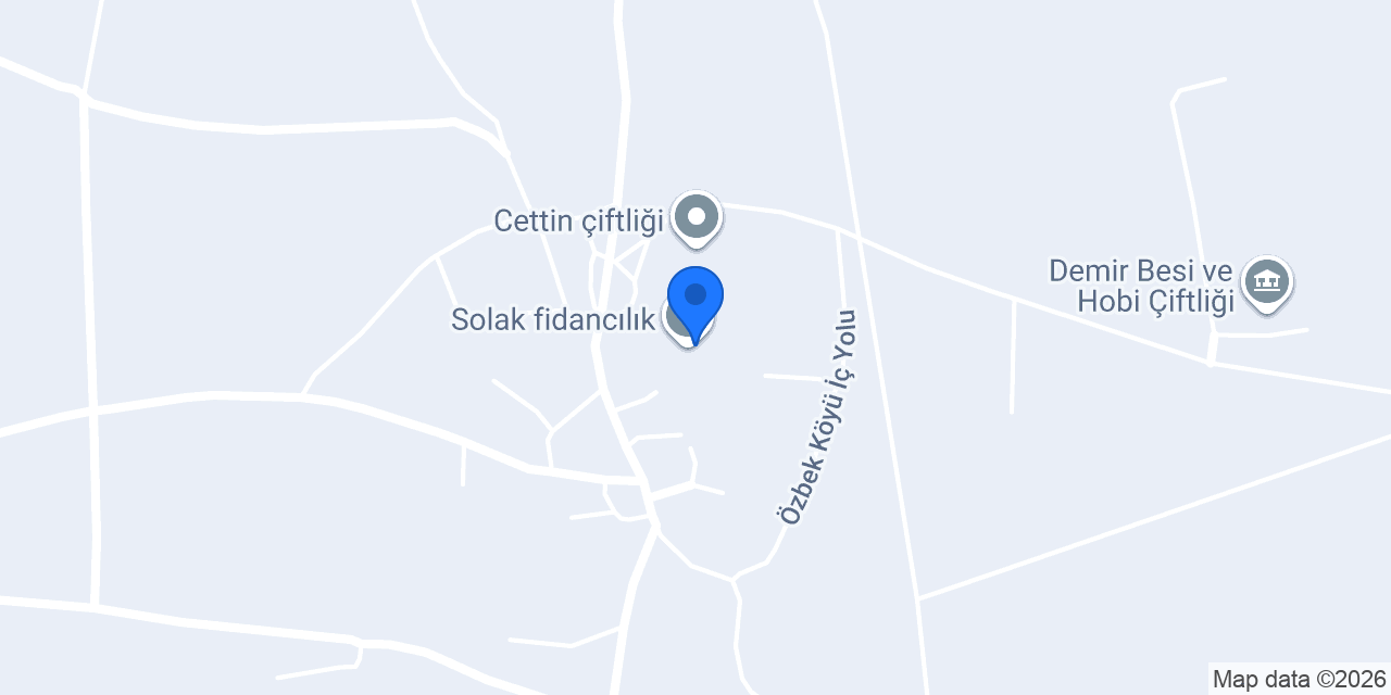 Solak fidancılık konumu