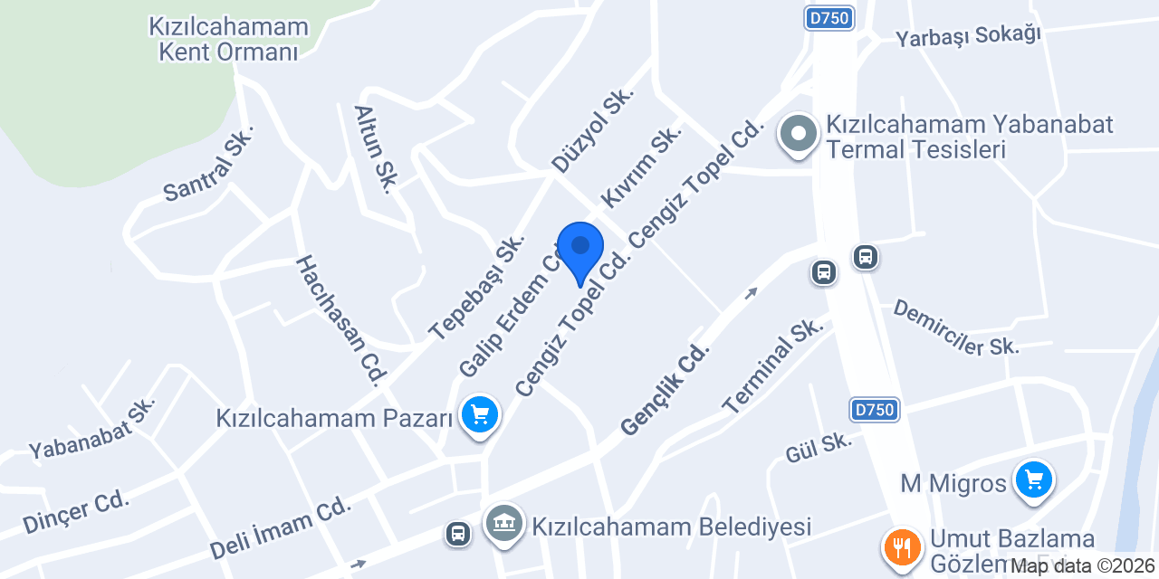 Nane Eczanesi konumu