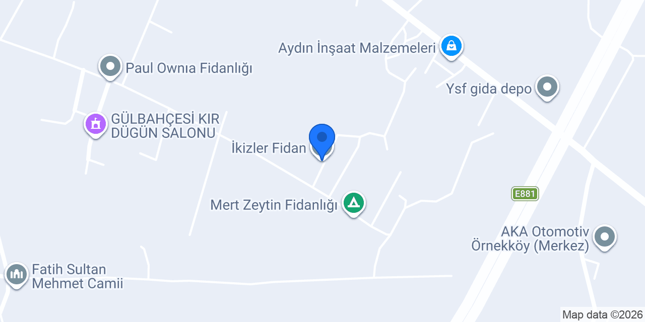 İkizler Fidan konumu