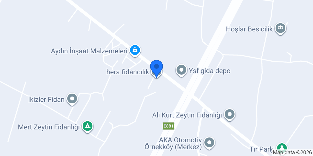 hera fidancılık konumu
